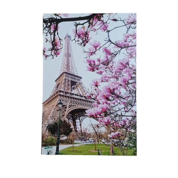 https://lojapadovani.com.br/image/cache/data/eftr/Img_ftr_rp_892701-580x580.PNG